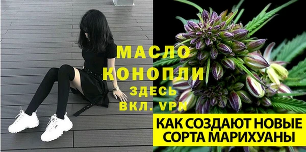 прущая мука Новодвинск