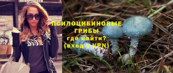 прущая мука Новодвинск