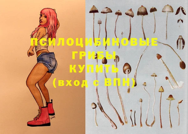 прущая мука Новодвинск
