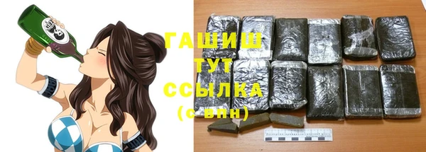 стаф Болхов