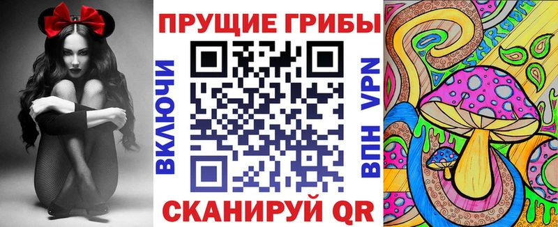 Галлюциногенные грибы прущие грибы  Кировск 