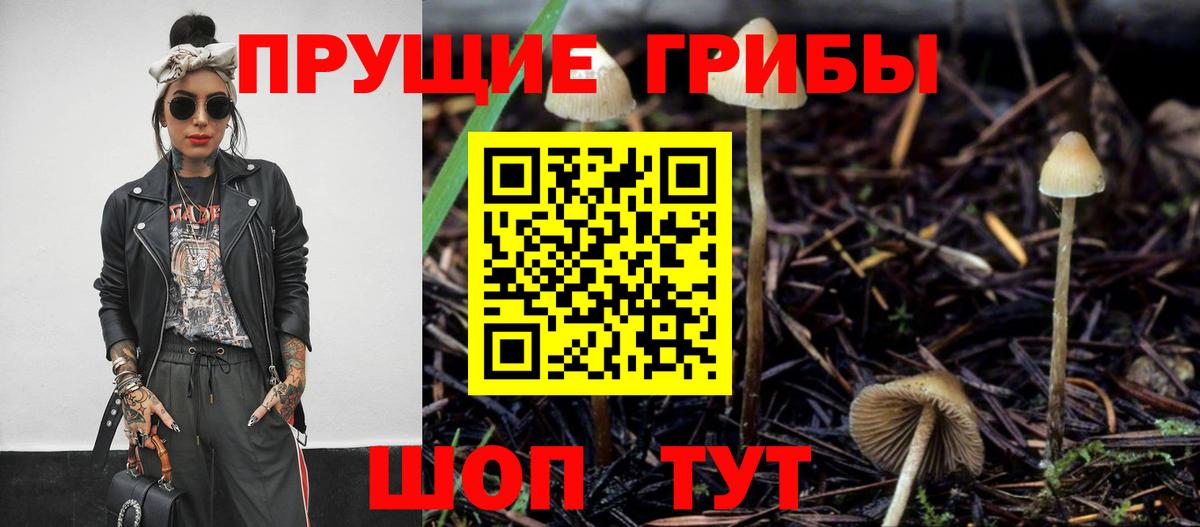 Галлюциногенные грибы мухоморы  Вход с VPN  Галлюциногенные грибы Psilocybine cubensis  купить  сайты  Кировск 